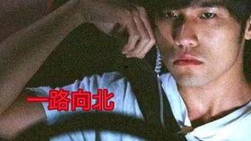 一路向北电影在线观看,穿越时光的浪漫之旅  第3张 一路向北电影在线观看,穿越时光的浪漫之旅  第3张