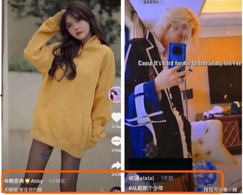 韩安冉爆料婆家视频在线观看,揭秘豪门背后的真实生活  第2张 韩安冉爆料婆家视频在线观看,揭秘豪门背后的真实生活  第2张