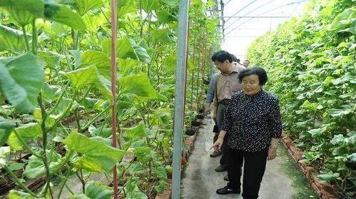 网红吃瓜塌房视频真实,揭秘网络红人背后的真相与争议  第3张 网红吃瓜塌房视频真实,揭秘网络红人背后的真相与争议  第3张