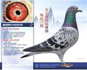 致命罗兰在线观看,在线惊悚之旅,揭秘神秘世界的黑暗面  第2张 致命罗兰在线观看,在线惊悚之旅,揭秘神秘世界的黑暗面  第2张