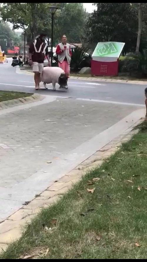 刘先生最新爆料直播视频,最新爆料视频深度解析  第3张 刘先生最新爆料直播视频,最新爆料视频深度解析  第3张