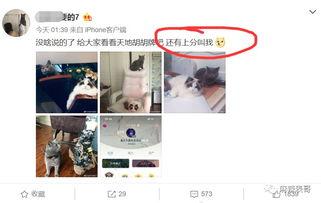 qq免费吃瓜网红圈是真的吗,QQ免费吃瓜网红圈的真实性探究  第3张 qq免费吃瓜网红圈是真的吗,QQ免费吃瓜网红圈的真实性探究  第3张