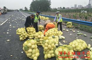 山寨吃瓜群众网红,背后的故事与争议  第2张 山寨吃瓜群众网红,背后的故事与争议  第2张